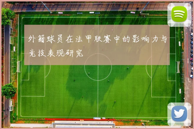 外籍球员在法甲联赛中的影响力与竞技表现研究